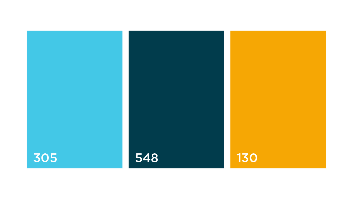 Datawire Brand Identity Secondary Color Palette