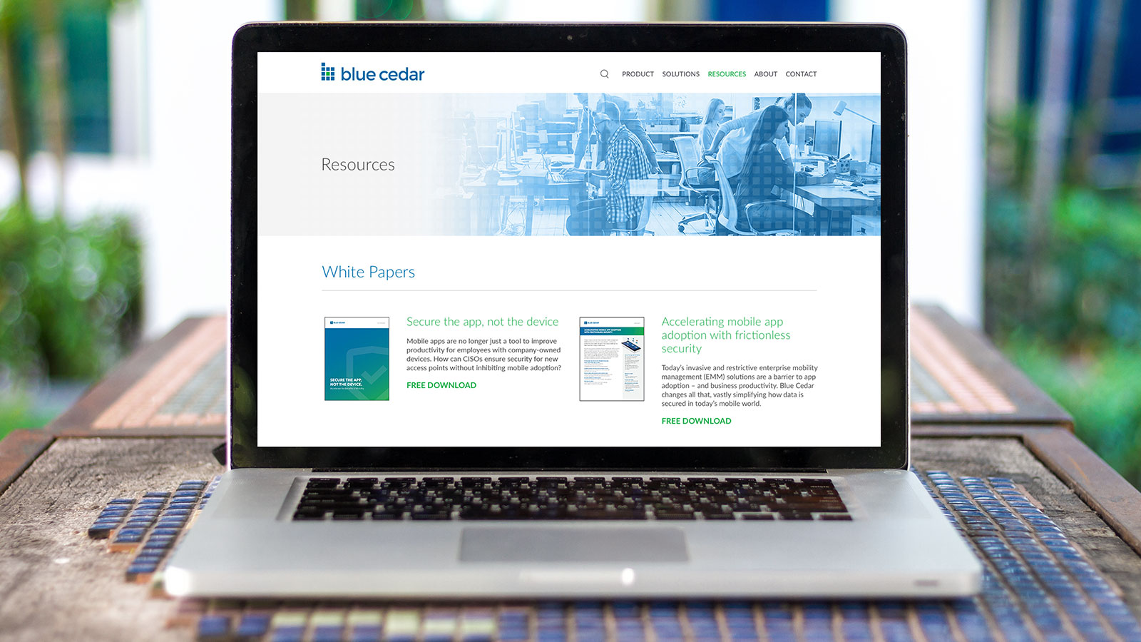 Blue Cedar Website Design Resources Page