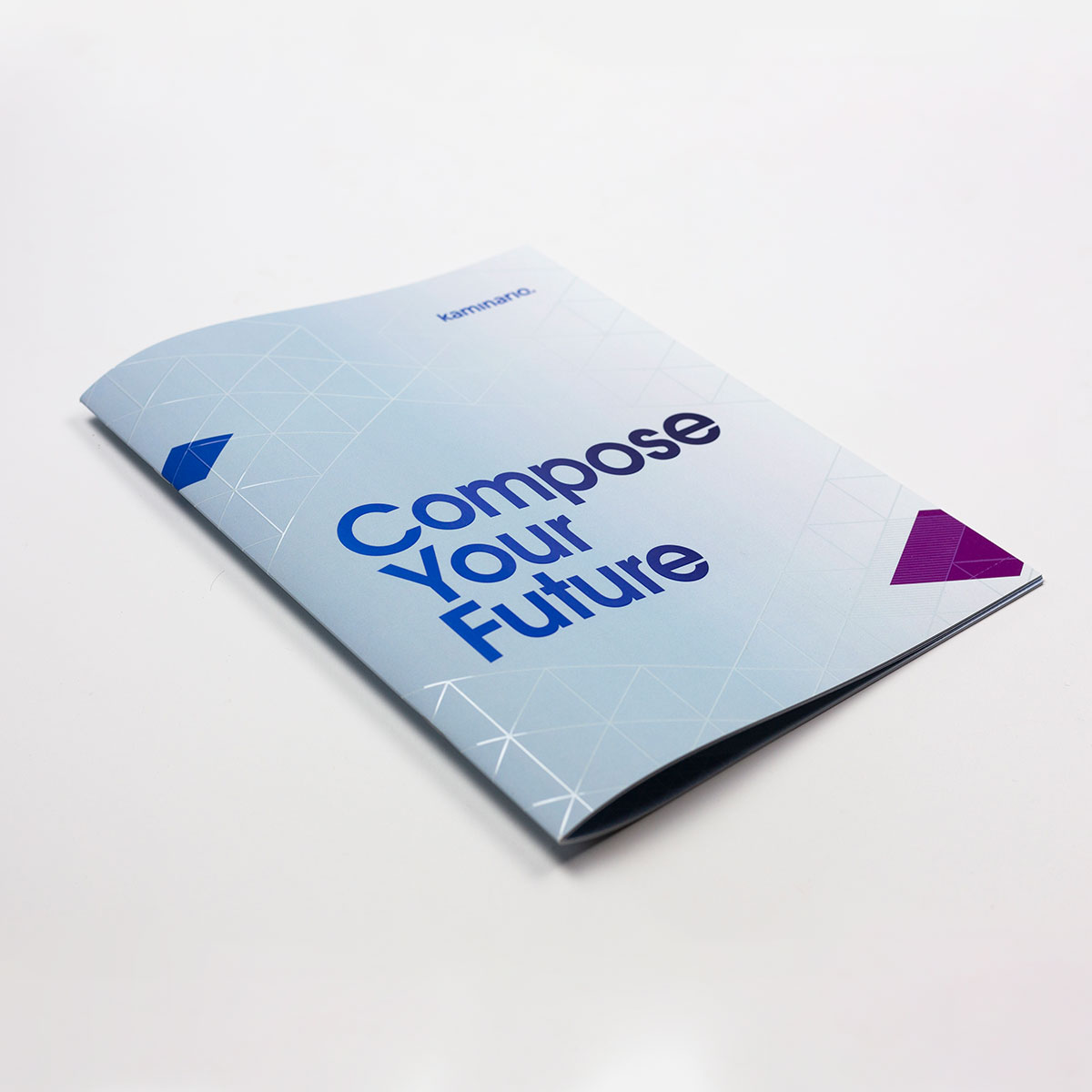 Kaminario Creative Campaigns – Corporate Brochure Cover with Reflective Aqueous Printing Process